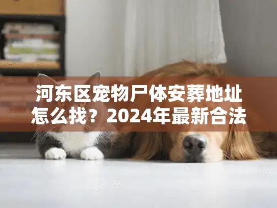 河东区宠物尸体安葬地址怎么找？2024年最新合法火化点