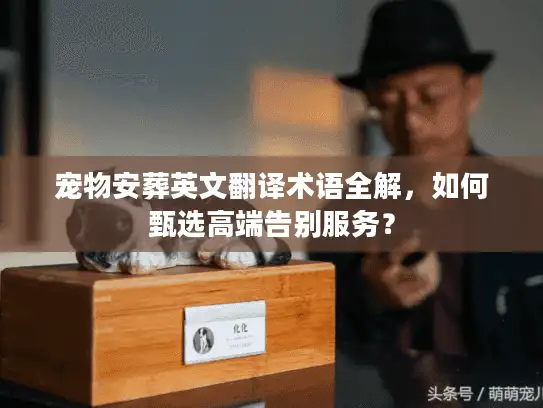 宠物安葬英文翻译术语全解，如何甄选高端告别服务？