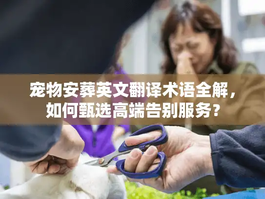 宠物安葬英文翻译术语全解，如何甄选高端告别服务？