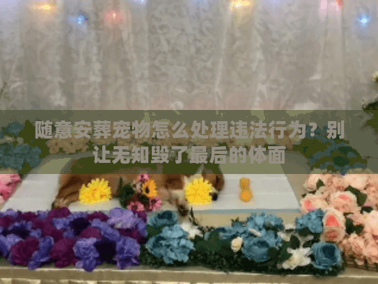 随意安葬宠物怎么处理违法行为？别让无知毁了最后的体面