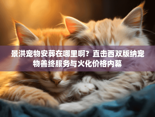 景洪宠物安葬在哪里啊？直击西双版纳宠物善终服务与火化价格内幕