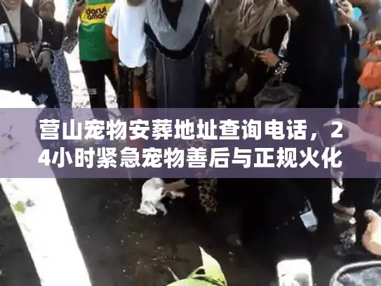 营山宠物安葬地址查询电话，24小时紧急宠物善后与正规火化渠道