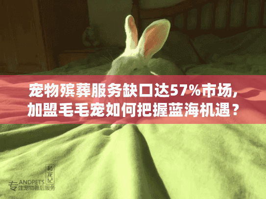 宠物殡葬服务缺口达57%市场,加盟毛毛宠如何把握蓝海机遇？