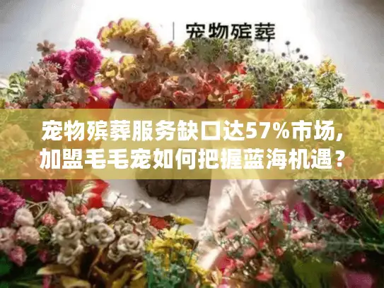 宠物殡葬服务缺口达57%市场,加盟毛毛宠如何把握蓝海机遇？