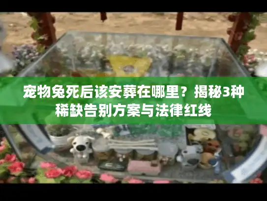 宠物兔死后该安葬在哪里？揭秘3种稀缺告别方案与法律红线