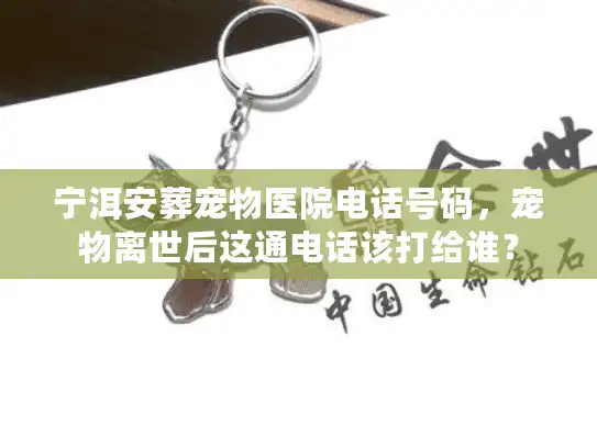 宁洱安葬宠物医院电话号码，宠物离世后这通电话该打给谁？