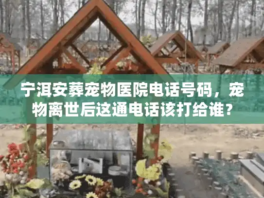 宁洱安葬宠物医院电话号码，宠物离世后这通电话该打给谁？