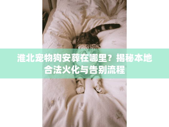 淮北宠物狗安葬在哪里?揭秘本地合法火化与告别流程 淮北宠物狗安葬在哪里?揭秘本地合法火化与告别流程