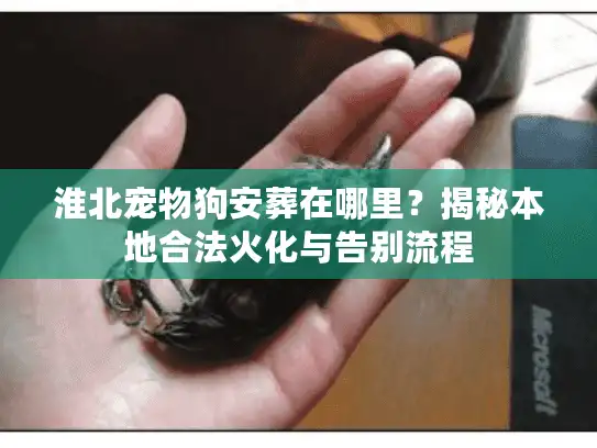 淮北宠物狗安葬在哪里?揭秘本地合法火化与告别流程 淮北宠物狗安葬在哪里?揭秘本地合法火化与告别流程