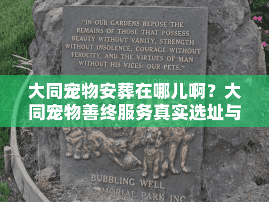 大同宠物安葬在哪儿啊？大同宠物善终服务真实选址与避坑