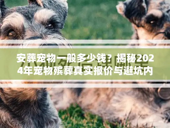 安葬宠物一般多少钱?揭秘2024年宠物殡葬真实报价与避坑内幕 安葬宠物一般多少钱?揭秘2024年宠物殡葬真实报价与避坑内幕