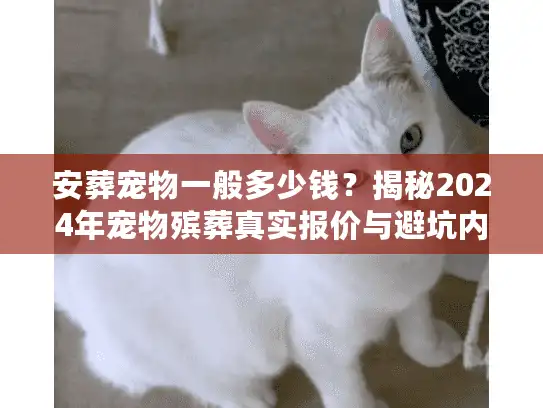 安葬宠物一般多少钱?揭秘2024年宠物殡葬真实报价与避坑内幕 安葬宠物一般多少钱?揭秘2024年宠物殡葬真实报价与避坑内幕