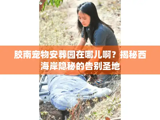 胶南宠物安葬园在哪儿啊？揭秘西海岸隐秘的告别圣地