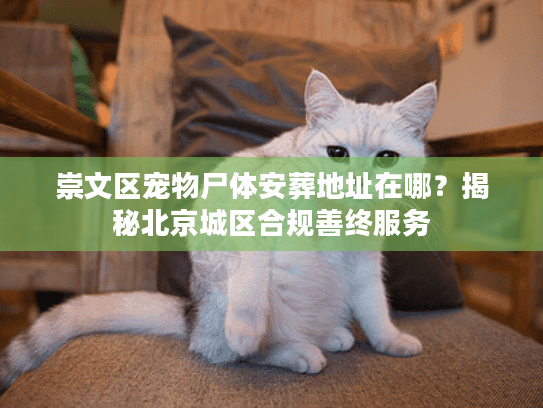 崇文区宠物尸体安葬地址在哪？揭秘北京城区合规善终服务
