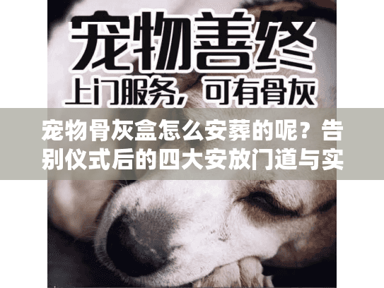 宠物骨灰盒怎么安葬的呢？告别仪式后的四大安放门道与实操