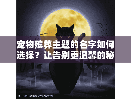 宠物殡葬主题的名字如何选择？让告别更温馨的秘诀