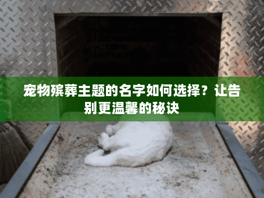 宠物殡葬主题的名字如何选择？让告别更温馨的秘诀