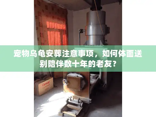 宠物乌龟安葬注意事项，如何体面送别陪伴数十年的老友？