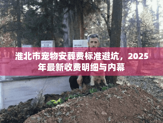 淮北市宠物安葬费标准避坑，2025年最新收费明细与内幕