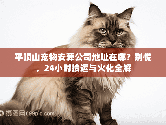 平顶山宠物安葬公司地址在哪？别慌，24小时接运与火化全解