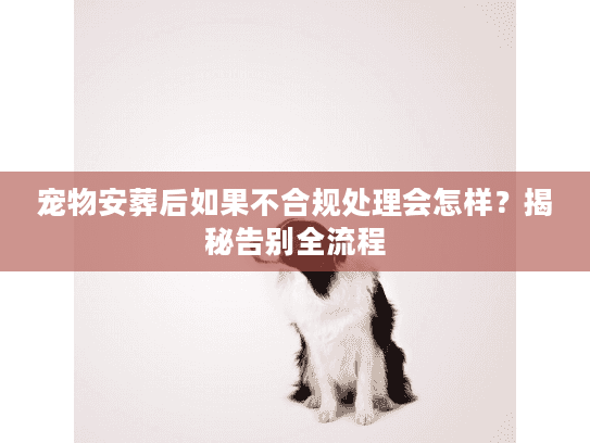 宠物安葬后如果不合规处理会怎样？揭秘告别全流程