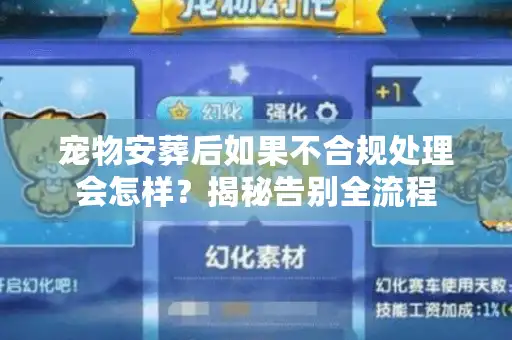 宠物安葬后如果不合规处理会怎样？揭秘告别全流程