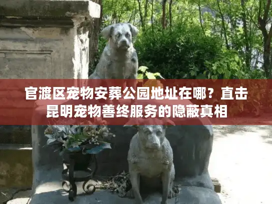 官渡区宠物安葬公园地址在哪？直击昆明宠物善终服务的隐蔽真相