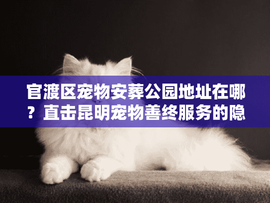 官渡区宠物安葬公园地址在哪？直击昆明宠物善终服务的隐蔽真相
