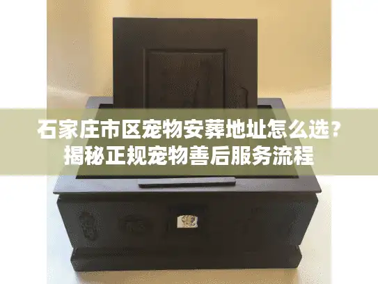 石家庄市区宠物安葬地址怎么选?揭秘正规宠物善后服务流程 石家庄市区宠物安葬地址怎么选?揭秘正规宠物善后服务流程