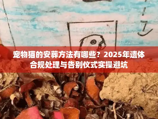 宠物猫的安葬方法有哪些？2025年遗体合规处理与告别仪式实操避坑