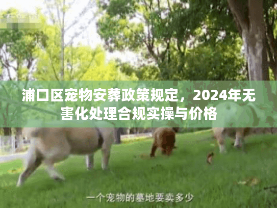 浦口区宠物安葬政策规定，2024年无害化处理合规实操与价格