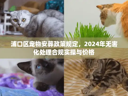 浦口区宠物安葬政策规定，2024年无害化处理合规实操与价格