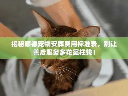 揭秘顺德宠物安葬费用标准表，别让善后服务多花冤枉钱！