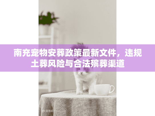 南充宠物安葬政策最新文件,违规土葬风险与合法殡葬渠道 南充宠物安葬政策最新文件,违规土葬风险与合法殡葬渠道