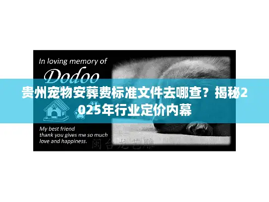 贵州宠物安葬费标准文件去哪查？揭秘2025年行业定价内幕