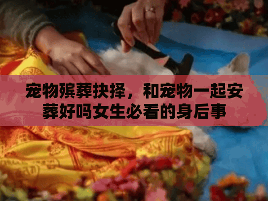 宠物殡葬抉择，和宠物一起安葬好吗女生必看的身后事