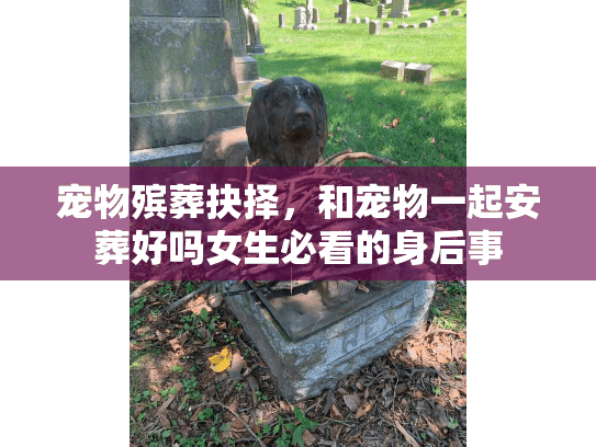 宠物殡葬抉择，和宠物一起安葬好吗女生必看的身后事