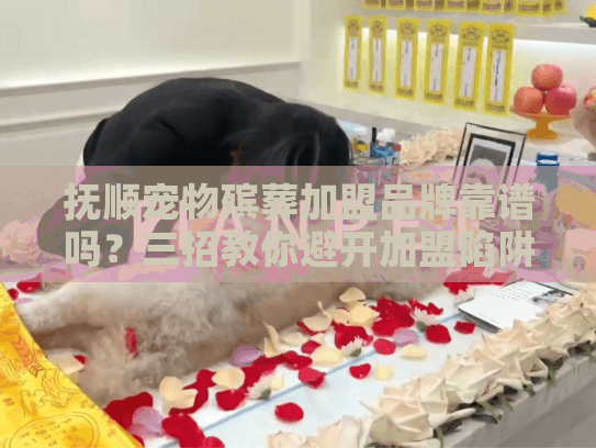 抚顺宠物殡葬加盟品牌靠谱吗？三招教你避开加盟陷阱