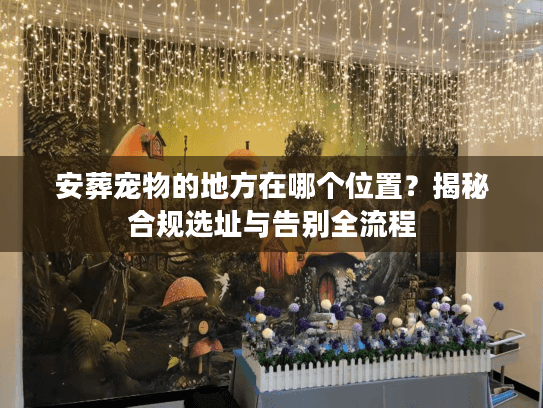 安葬宠物的地方在哪个位置？揭秘合规选址与告别全流程