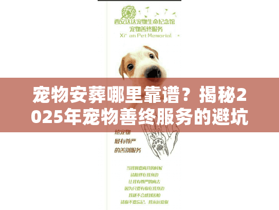宠物安葬哪里靠谱？揭秘2025年宠物善终服务的避坑真相