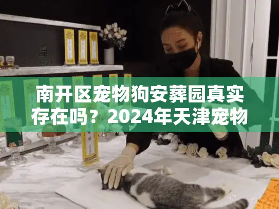 南开区宠物狗安葬园真实存在吗?2024年天津宠物殡葬避坑实录 南开区宠物狗安葬园真实存在吗?2024年天津宠物殡葬避坑实录