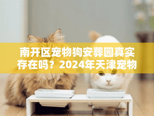 南开区宠物狗安葬园真实存在吗?2024年天津宠物殡葬避坑实录 南开区宠物狗安葬园真实存在吗?2024年天津宠物殡葬避坑实录