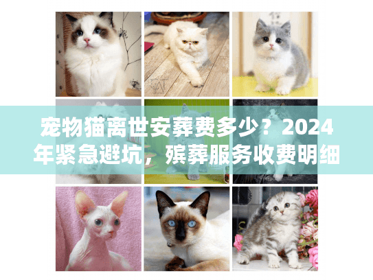 宠物猫离世安葬费多少?2024年紧急避坑,殡葬服务收费明细 宠物猫离世安葬费多少?2024年紧急避坑,殡葬服务收费明细