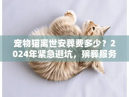 宠物猫离世安葬费多少?2024年紧急避坑,殡葬服务收费明细 宠物猫离世安葬费多少?2024年紧急避坑,殡葬服务收费明细