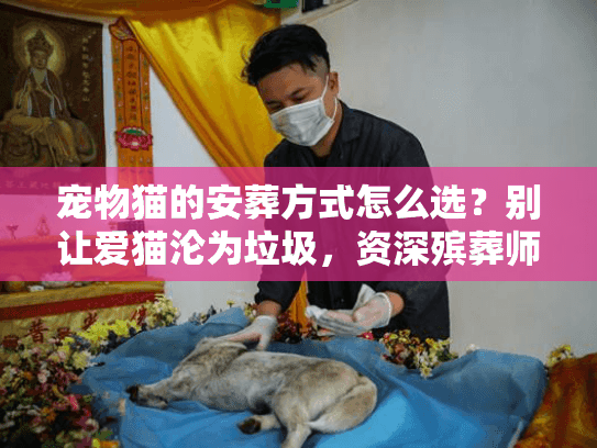 宠物猫的安葬方式怎么选？别让爱猫沦为垃圾，资深殡葬师实战建议