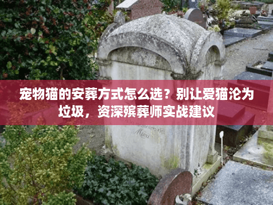 宠物猫的安葬方式怎么选？别让爱猫沦为垃圾，资深殡葬师实战建议