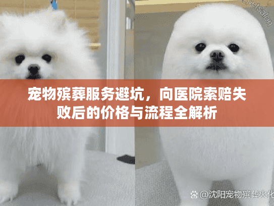 宠物殡葬服务避坑，向医院索赔失败后的价格与流程全解析