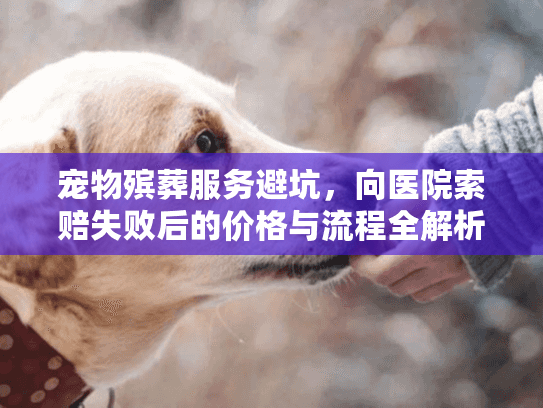宠物殡葬服务避坑，向医院索赔失败后的价格与流程全解析