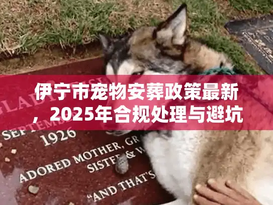 伊宁市宠物安葬政策最新,2025年合规处理与避坑实策 伊宁市宠物安葬政策最新,2025年合规处理与避坑实策