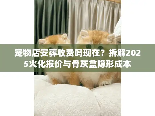 宠物店安葬收费吗现在？拆解2025火化报价与骨灰盒隐形成本